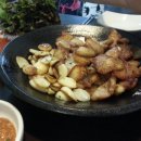 고고밥