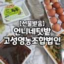 고성텃밭영농조합법인 이미지