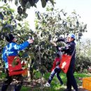 동읍사무소 이미지