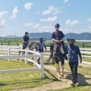 악양 승마장 이미지