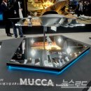 MUCCA - 181898 | MUCCA