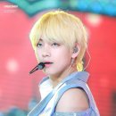 비비드vivid 네이버블로그