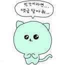 합천 일번지 켄넬 네이버블로그