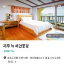 뉴해안풍경