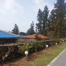 삼춘네칼국수 이미지