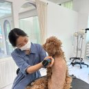 오늘의개스트 이미지