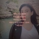 신사동가로수길 화장품편집샵= 피부식당!!
