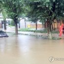 담양고서중학교 이미지