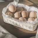 라탄 공예 클래스 이미지