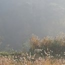 거성한우농장 네이버블로그