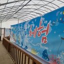 청암관광농원 눈썰매장