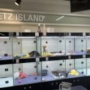 펫츠아일랜드 수월점 이미지