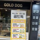 골드독 | 평택강아지분양 골드독 방문후기! 깨끗하고 믿을 수 있었던 이유