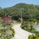 성주농원 이미지