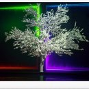 태위로 | 제주도 2박3일 여행 +1일차 후기 (아이바가든,스테이체리,일품순두부,김포공항)