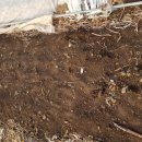 길복농장 이미지