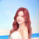 이리온 이미지