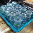 제주 3박4일 부모님과 가족 패키지여행, 함덕해수욕장 말타기체험, 성읍민속마을, 마방목지, 사려니숲길