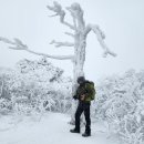 2024.1월21일.셋째주 일요일.태백산1565m(태백)산행접수 이미지