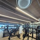 전 프로 골프클럽 | [키덜트골프클럽 대표 오혜련프로 내돈 내산 후기] 오늘도 '갓생' 판교 고등동 헬스장 메모리짐 오운완...