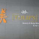 튤립스 에스테틱 네이버블로그