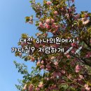 💉🏥(대전가다실9) 저렴한 의원 추천 하나의원 후기
