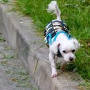 동이네집 이미지