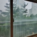 신월동009 이미지