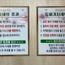 약손대가