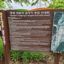 연둔리 숲정이 | 전남 화순 동복 연둔리 숲정이 산책후기