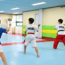 MTA즐거운태권도 이미지