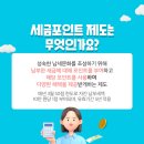 진포인트 이미지