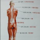 효자손안마원 이미지