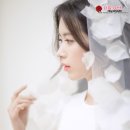 스튜디오송