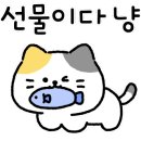 듀오헤어 이미지