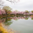 영산 연지 이미지