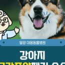 대웅동물병원 이미지