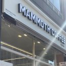 매머드익스프레스순천