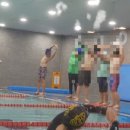 로키 스위밍 클럽 이미지