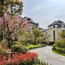 짝꿍댕이 이미지