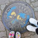 영춘우체국 | 고향사랑기부제가 쏘아 올린 대전 빵지순례!🥖🍞🍓성심당/몽심