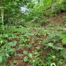 우리농장1 이미지