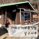 산막1지구 놀이터 앞 화장실 | [강원 홍천 가리산자연휴양림/살구나무] 뻥 터진 뷰 + 바베큐 후기