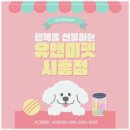 미니펫 강아지분양 고양이분양 부천점 | 부천 러시안블루 분양 후기｜유앤미펫에서 만난 우리 집 막내 고양이