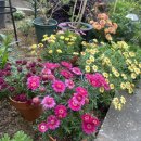 안심요양병원 의료법인 안심의료재단 이미지