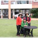 강정씨빌리지 이미지