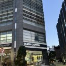 역삼1-136 | 서울 강남 슬로우커피 역삼점 후기｜파충류카페에서 즐기는 건강한 시그니처 음료와 디저트