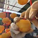 상주곶감공원 야외 이미지