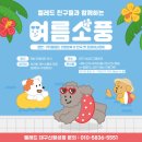 여름소풍 이미지