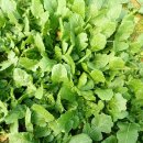 연한농장 이미지